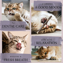 Ne&No Matatabi Sticks οφέλη γάτας: dental care, fresh breath, good mood, relaxation με φωτογραφίες γάτας